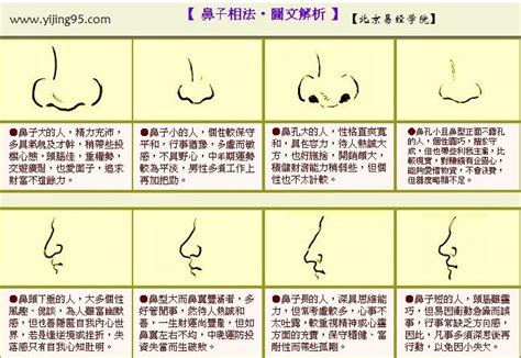 鼻頭有肉|鼻子看相：女人鼻头有肉面相图解